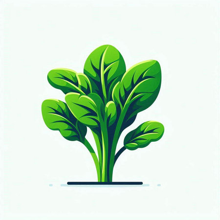 Vegetable logo. Vector illustration of a fresh green spinach.のイラスト素材