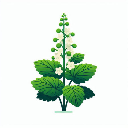 Lily-of-the-valley, vector illustration.のイラスト素材