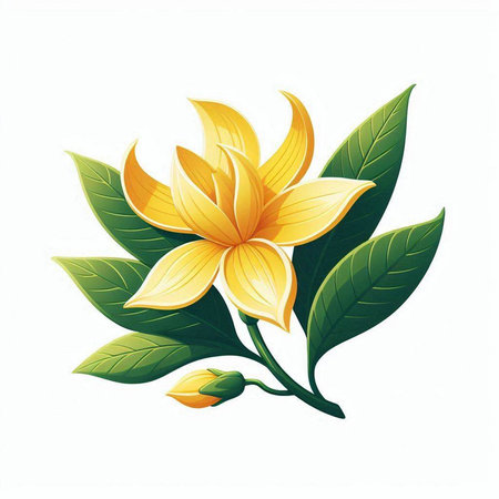 Illustration of yellow lily flower with green leaves on white backgroundのイラスト素材