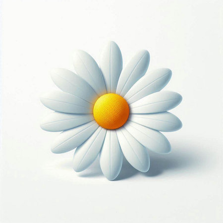 White daisy on a white background. 3D rendering. Illustration.のイラスト素材
