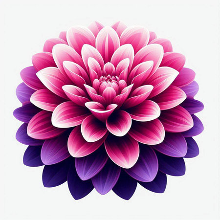 Dahlia flower isolated on white background. Vector illustration for your designのイラスト素材