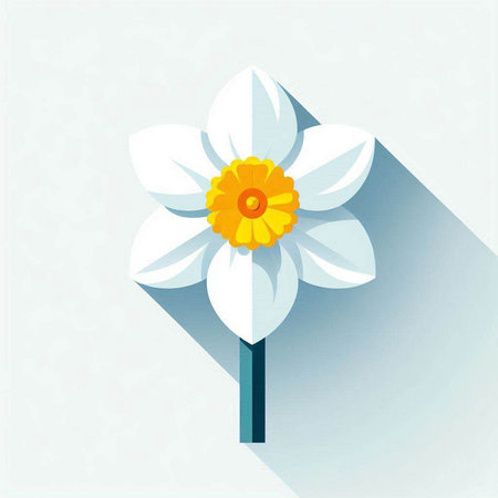 Daffodil flower on a white background. Vector illustration.のイラスト素材