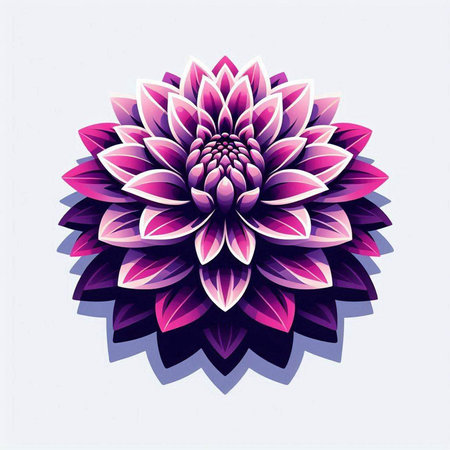 Purple dahlia on a white background. Vector illustration.のイラスト素材