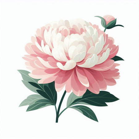 Peony flower bouquet isolated on white background. Vector illustration.のイラスト素材
