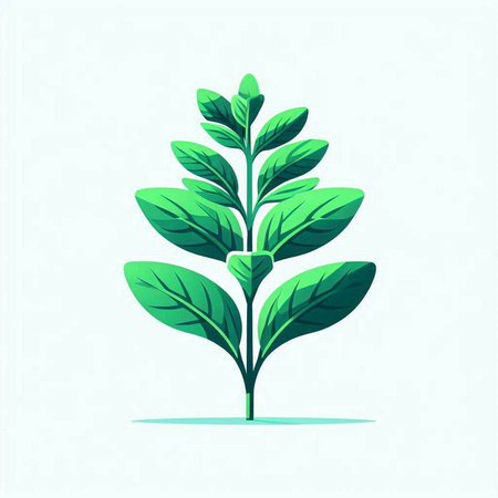 green plant with leaves, vector illustration, eps 10, no transparencyのイラスト素材