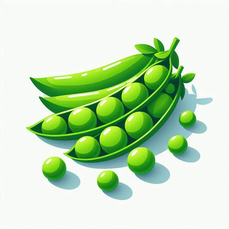 Green peas on a white background. Vector illustration for your design.のイラスト素材