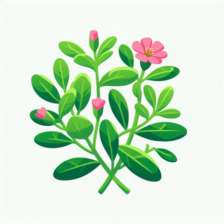 Illustration of green leaves with pink flowers on a white background.のイラスト素材