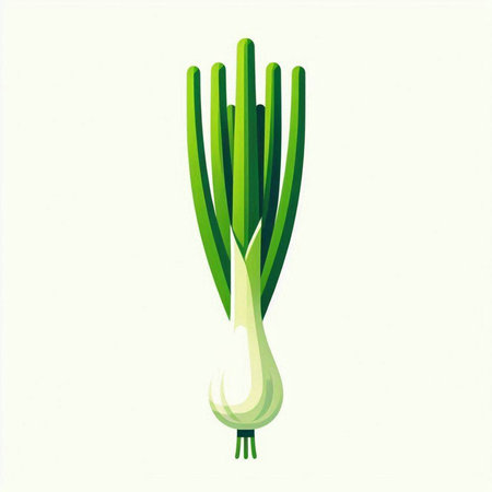Illustration of a fresh spring onion isolated on a white background.のイラスト素材