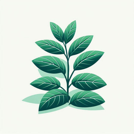 Plant with green leaves on a white background. Vector illustration.のイラスト素材