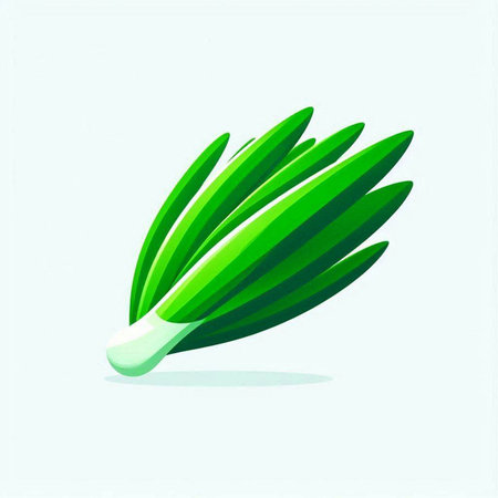 Illustration of a fresh green onion on a white background - vectorのイラスト素材