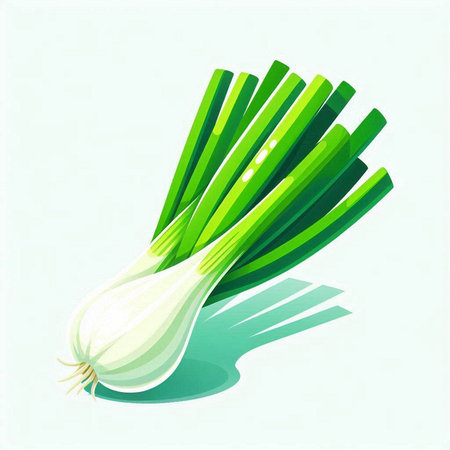 Illustration of a fresh spring onion isolated on a white background.のイラスト素材