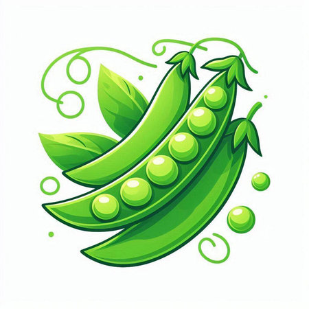 Green peas with leaves isolated on a white background. Vector illustration.のイラスト素材