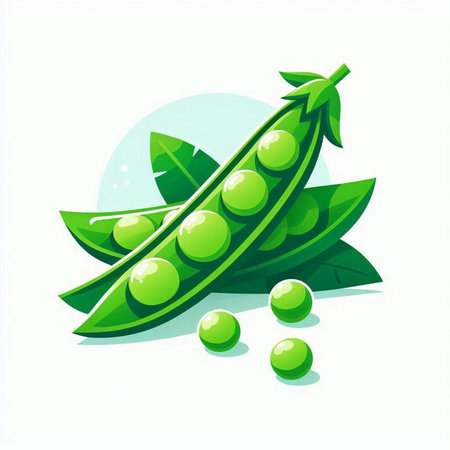 Green peas with leaves on a white background. Vector illustration, flat style.のイラスト素材