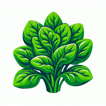 Sofa isolated on white background. Vector illustration. EPS 10のイラスト素材