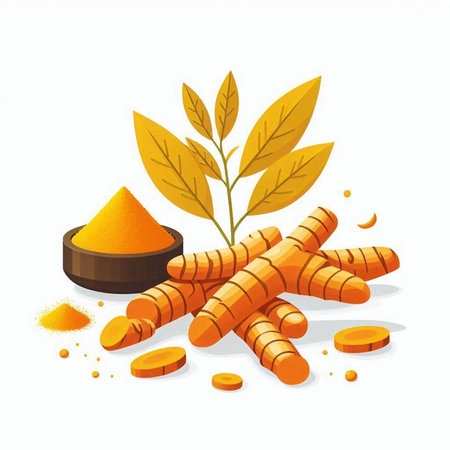 Turmeric root and powder on white background. Isolated vector illustration.のイラスト素材