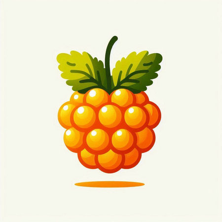 Raspberry. Vector illustration. Isolated on a white background.