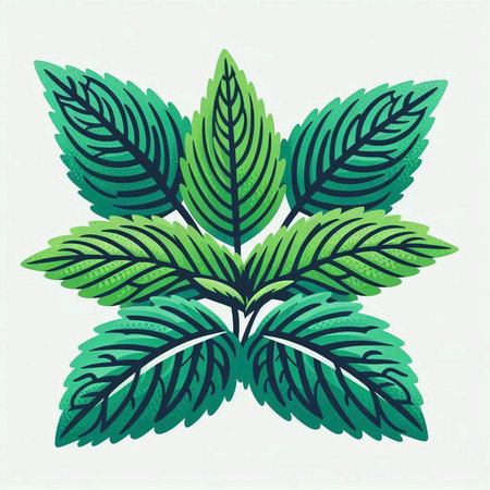 Tropical leaves on a white background. Hand drawn vector illustration.