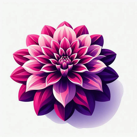 Pink dahlia flower on a white background. Vector illustration.