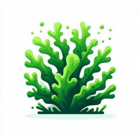 Green seaweed isolated on white background. Underwater plant. Vector illustration.