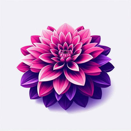 Beautiful pink dahlia flower on white background. Vector illustration.