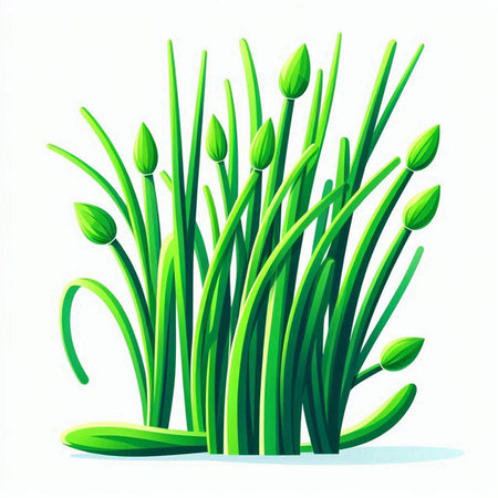 Chives isolated on white background. Vector illustration in cartoon style.