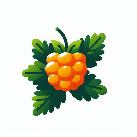 Vector illustration of a bunch of blackberries on a white background.