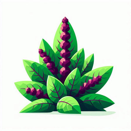 Illustration of a green leaf with purple flowers on a white background
