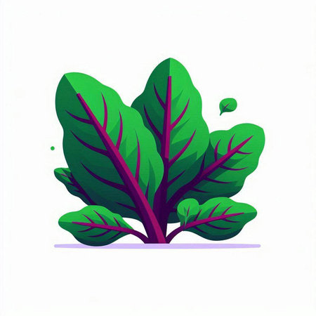 Green beet isolated on white background. Vector illustration. Eps 10.のイラスト素材