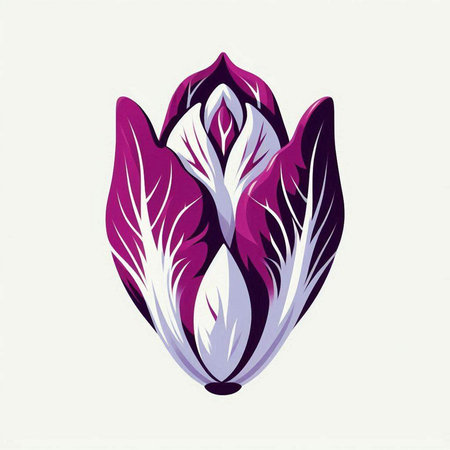 Purple cabbage on white background, vector illustration, eps 10