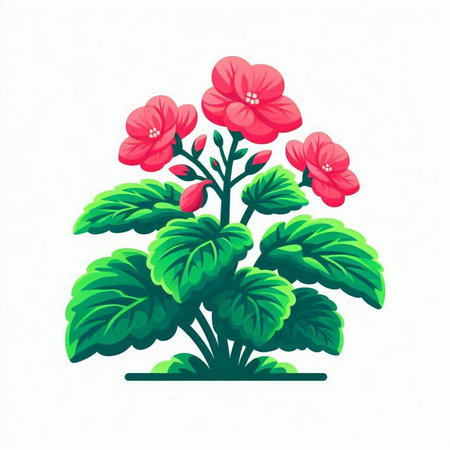 Geranium flower isolated on white background. Hand drawn vector illustration.