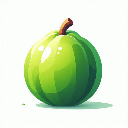 Illustration of green pumpkin on a white background. Vector illustration.のイラスト素材