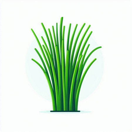 Vector illustration of green onion isolated on white background. Flat style.のイラスト素材