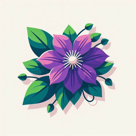 Purple clematis flowers with green leaves. Vector illustration.のイラスト素材