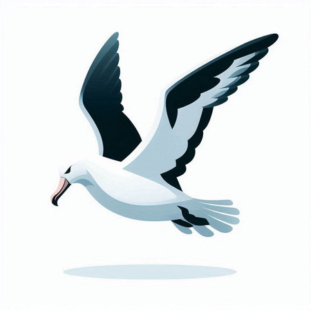 Flying seagull isolated on a white background. Vector illustration.のイラスト素材