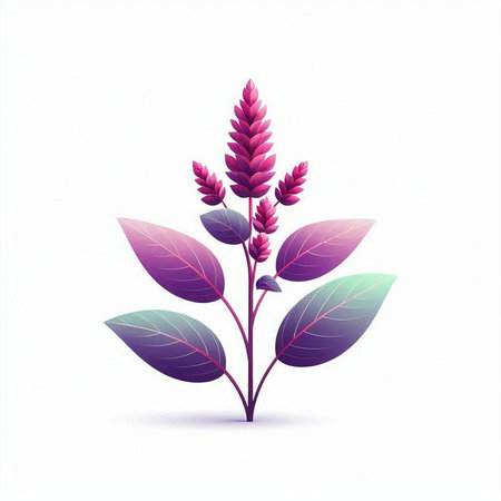 Purple basil isolated on white background. Vector illustration. Eps 10.のイラスト素材