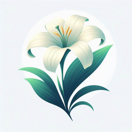 White lily on a white background. Vector illustration for your designのイラスト素材