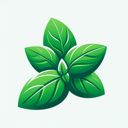 Fresh green basil leaves isolated on a white background. Vector illustration.のイラスト素材