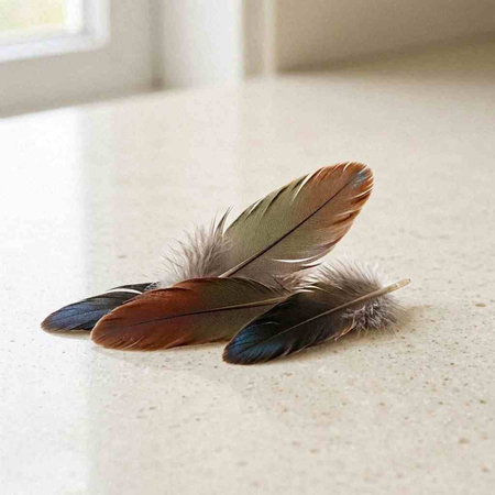 Feathers of a bird on a white background. Place for text.