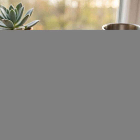 Succulent plant in a pot on the windowsill. Selective focus.