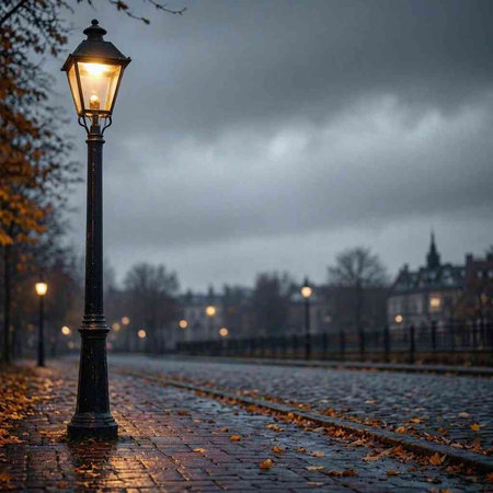 Lantern in the park on a rainy autumn day. View from the street.