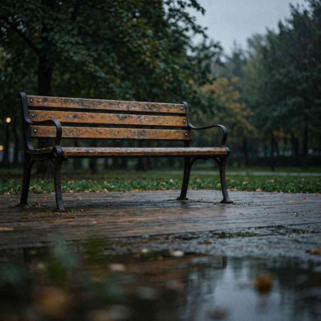 Bench in the park at rainy day. Rainy weather. Selective focus.