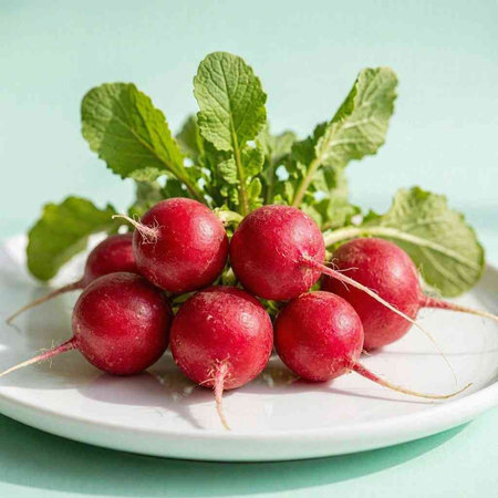 Bunch of fresh radishes with green leaves on a white plate