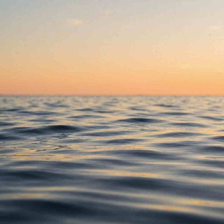 Sunset on the sea. Selective focus. Shallow depth of field.