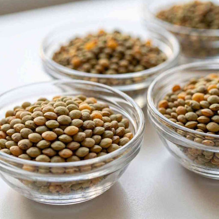Green lentils in glass bowls on a white background. Close up.