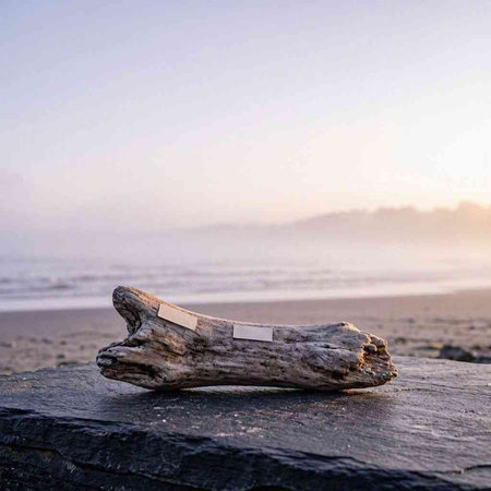Wooden bench on the beach in the morning light. High quality photo