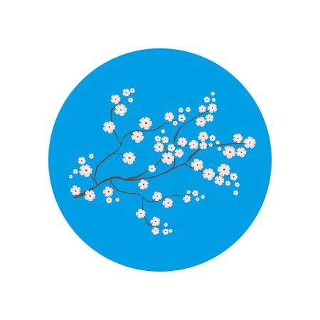 A branch of cherry blossoms. Color vector illustration isolated on white background.のイラスト素材