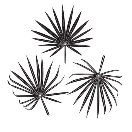 Tropical plant banana leaves set. Black hand drawn vector isolated on white background.のイラスト素材