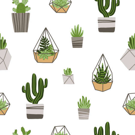 Seamless pattern with Cactus and succulents in flowerpot, florarium. Houseplants. Succulents in...