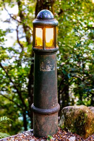 A Rustic Green Lamppost in a Garden Lights a Pathの写真素材