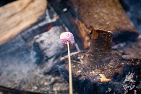 Roasting Marshmellows Over an Open Fireの写真素材
